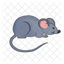 Mouse Little Cheese Icon