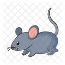 Mouse Little Cheese Icon