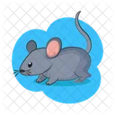 Mouse Little Cheese Icon