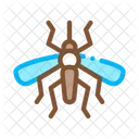 Insekten Mucken Kafer Symbol