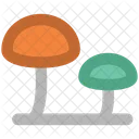 Mushroom Oyster Fungi Icon