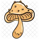 Mushroom Shiitake Mushroom Fungi Icon