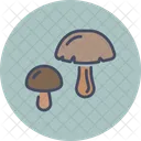 Mushroom Vegetable Plant Icon