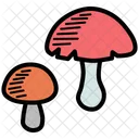 Mushroom Vegetable Plant Icon