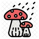 Mushroom Fungi Nature Icon