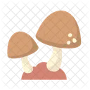 Mushroom Fungi Nature Icon