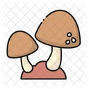 Mushroom Fungi Nature Icon