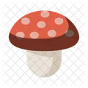 Fungi Fungus Mushroom Icon