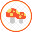 Mushroom  Icon