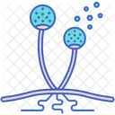 Mushroom Fungi Fungus Icon