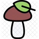 Mushroom Ecology Eco Icon