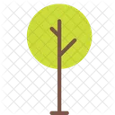 Nature Tree Plant Icon