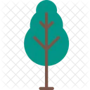 Nature Tree Plant Icon