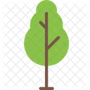 Nature Tree Plant Icon