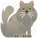 Nebelung  Icon