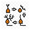 Neurogenesis Neuroscience Neurology Icône