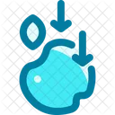 Physics Science Apple Icon