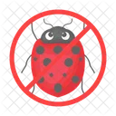 Ladybug Beetle Bug Icon