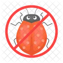 Ladybug Beetle Bug Icon