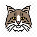 Norwegian Cat  Icon