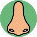 Nose Smell Sense Icon