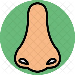 Nose  Icon