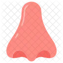 Nose Nostril Human Nose Icon