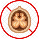 Nut Walnut Allergy Icon