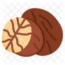 Nutmeg  Icon