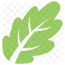 Single Oak Plant Icon