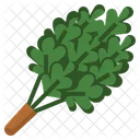 Oak Whisk  Icon