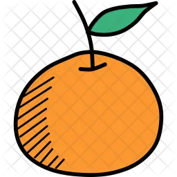 Orange  Icon