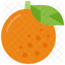 Orange  Icon