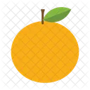 Fruit Fresh Food Icon