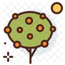 Orange Tree  Icon