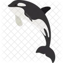 Orca Aquatic Animal Symbol