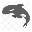 Orca Wal Saugetier Symbol