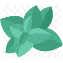 Oregano  Icon