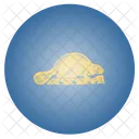 Oregon Reverse Us Icon