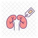 Organ Smuggling Kidney Sale Organ Price Icon