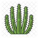 Organ Pipe Cactus  Icon