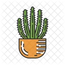 Organ Pipe Cactus In Pot  Icon