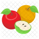 Organic Fruits Garden Fruits Healthy Food Icon