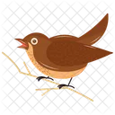 Riole Avian Icterus Galbula Icon