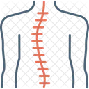 Osteoterapia  Icono