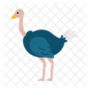 Ostrich Flat Icon