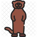 Otter  Icon