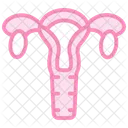 Ovaries Duotone Line Icon Icon