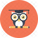 Owl  Icon