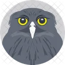 Owl Face Head Icon